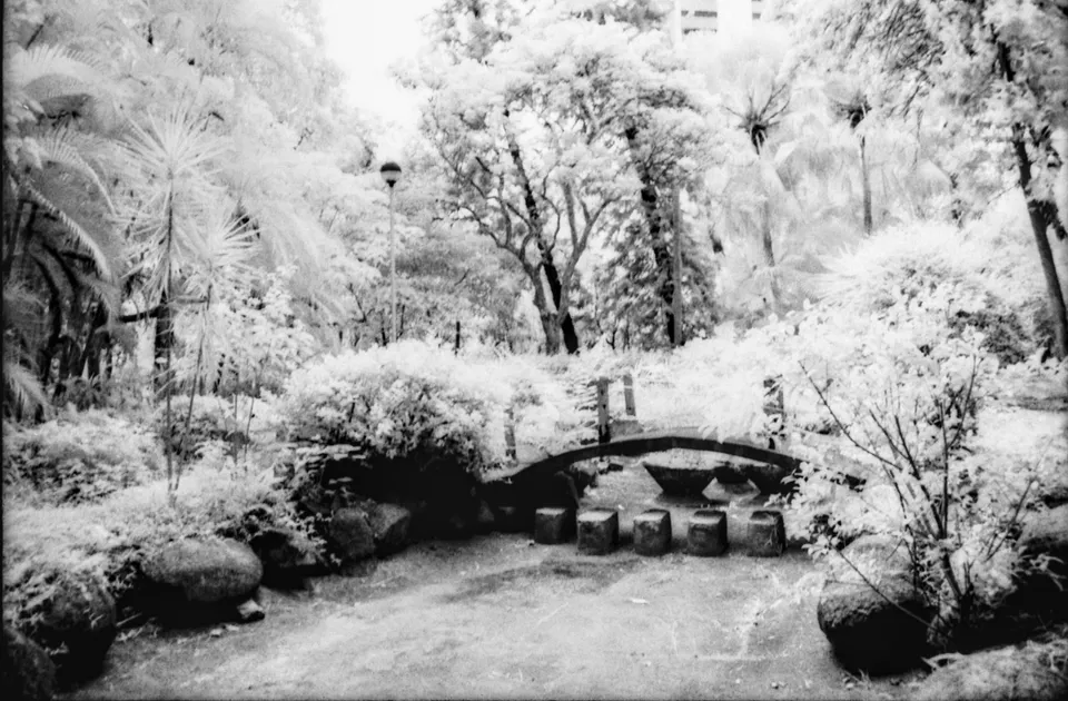 A black and white infrared photo