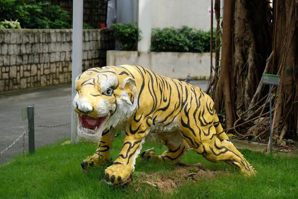 Tiger statute