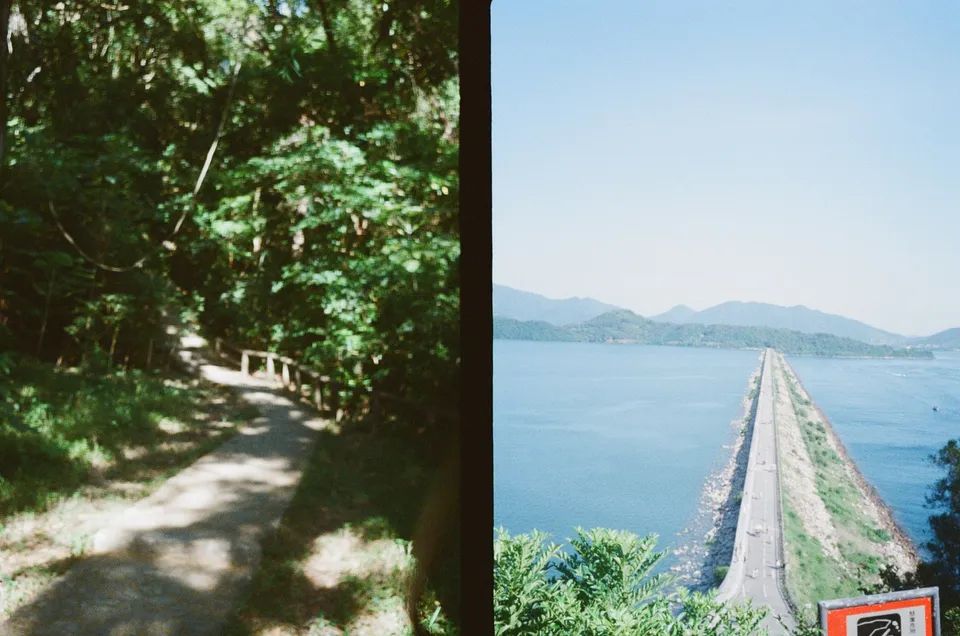 Left: blurry forest. Right: sharp, slightly overexposed dam.